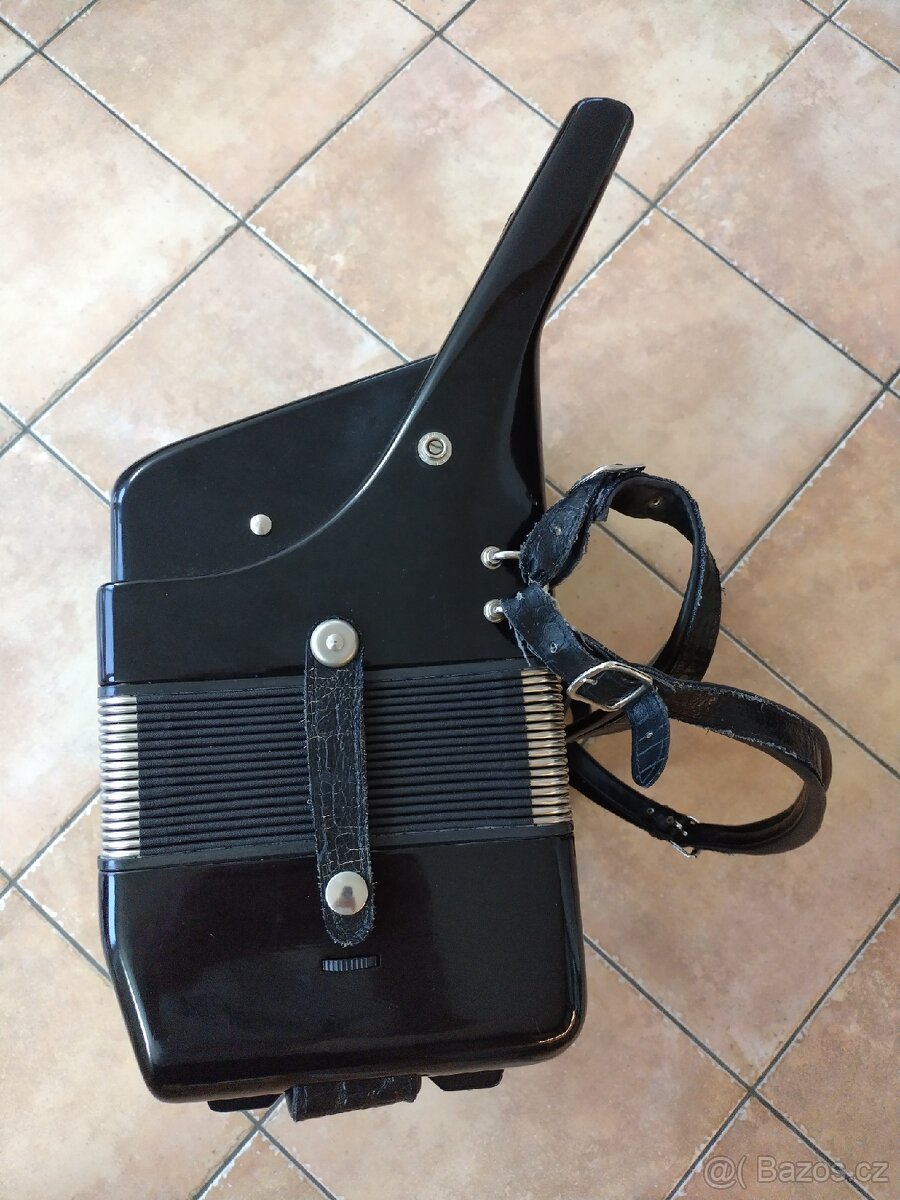 Harmonika Delicia - 4