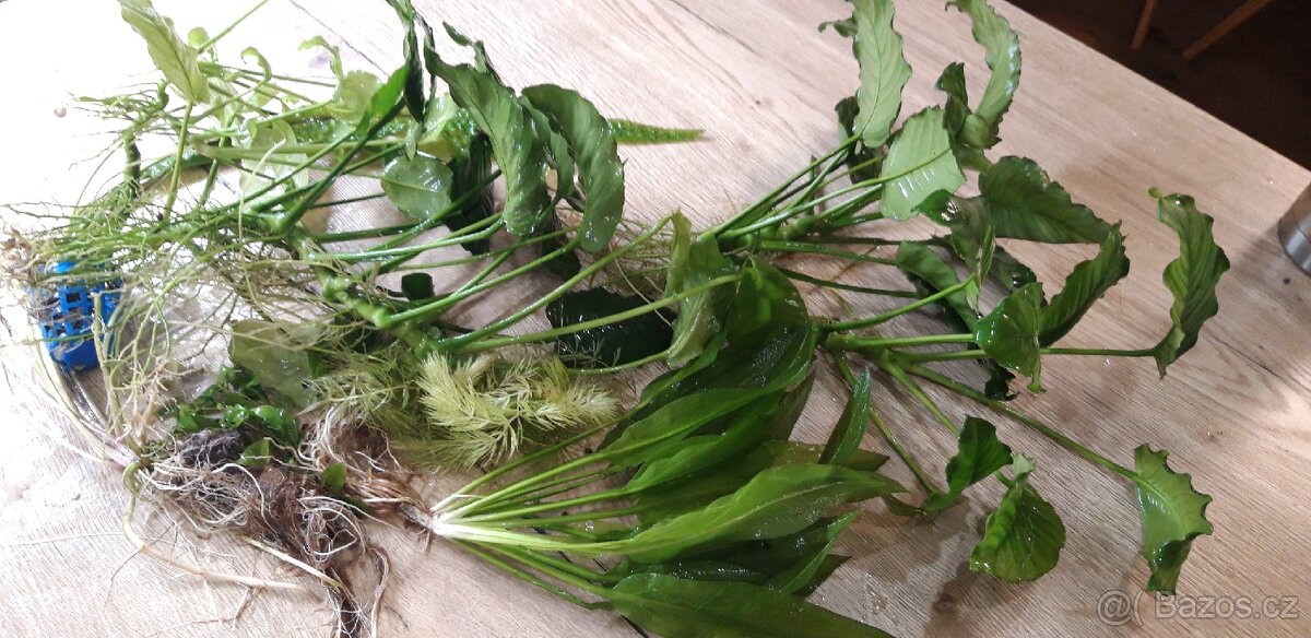 brusle kolečkové a zimní 2v1 - 4