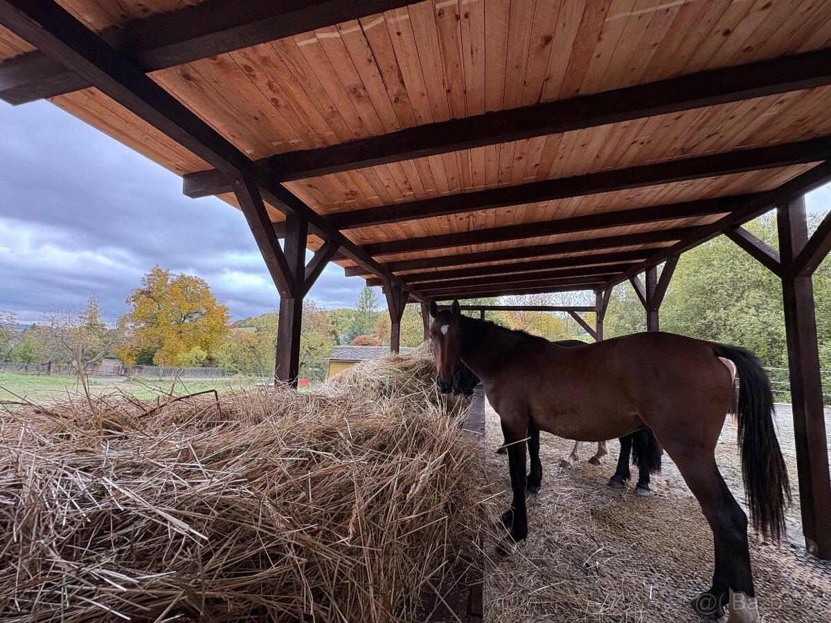 Ustájení koní - 4