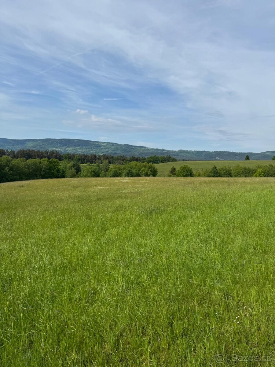 Prodám pozemky v katastrálním území Český Dub - louky - 4