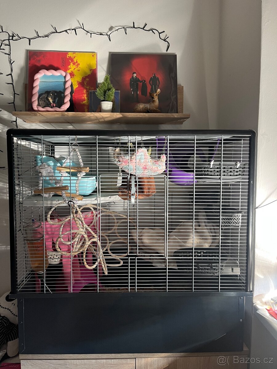 Klec Savic Zeno 2 s vybavením - 4