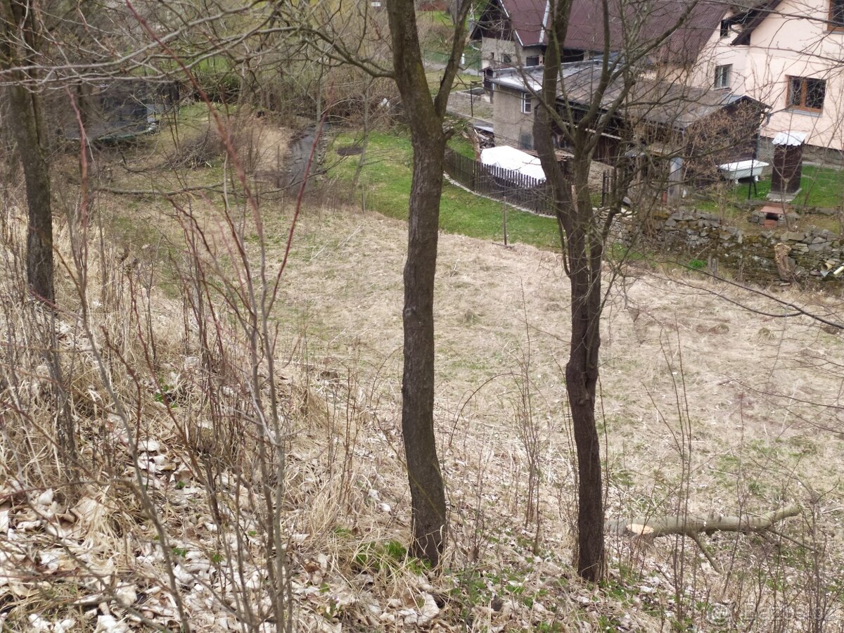 Prodej pozemku- zahrada - 4