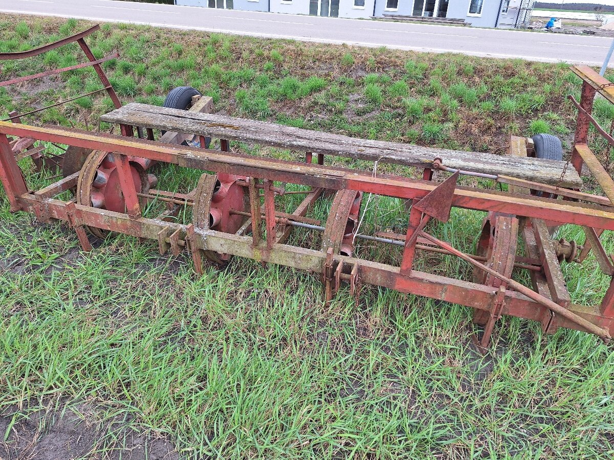 Prodam sazec brambor babosed - 4