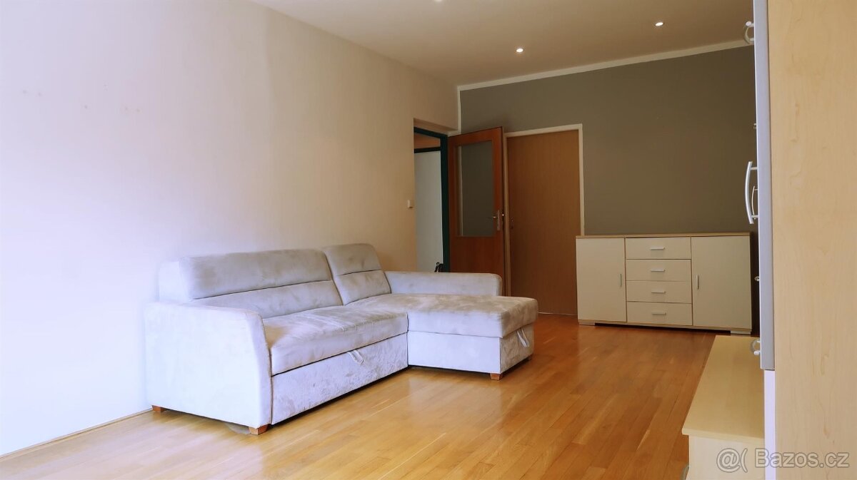 Světlé 2+1 na Petřinách, minutu od metra - 4
