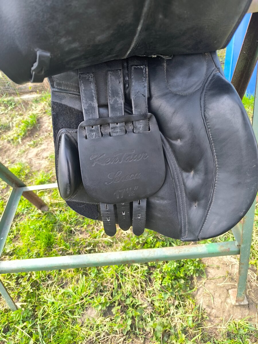 Prodám Kentaur Seneca - 4