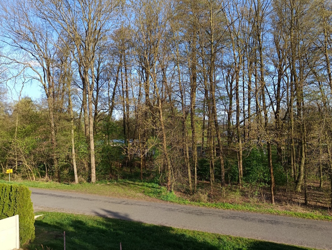 Pozemek Lázně Bohdaneč - 4