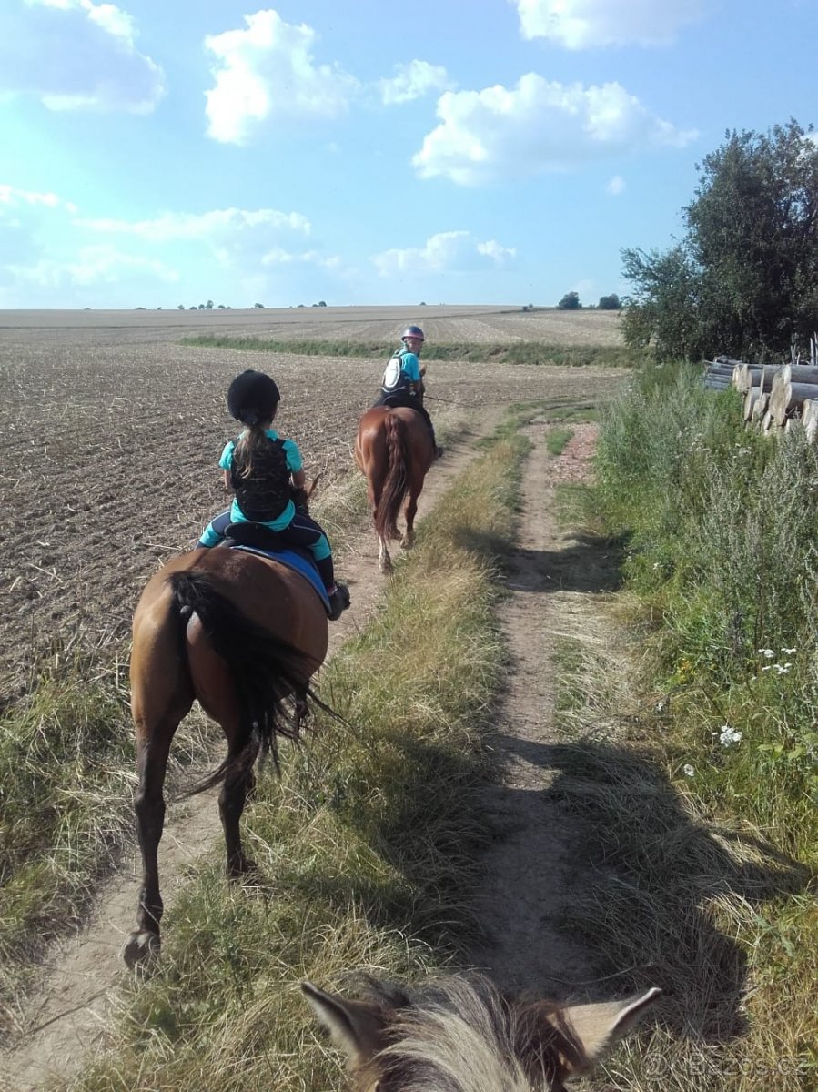 VYJÍŽĎKY NA KONÍCH - 4