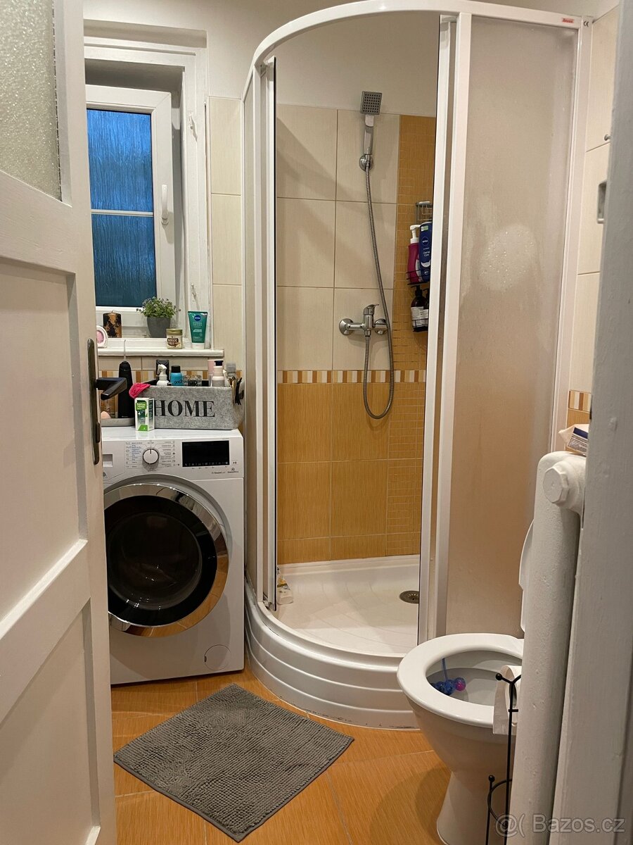 Prodám byt v Palachově ulici - 4