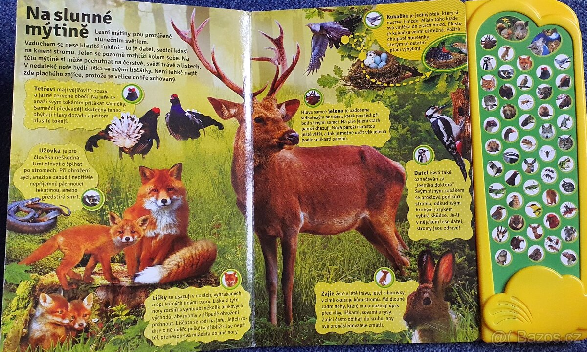Kniha zviřat - 4