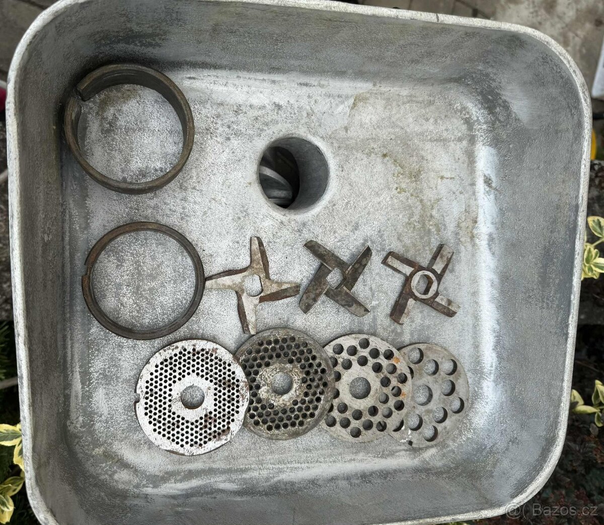 Řeznický vlček - 4