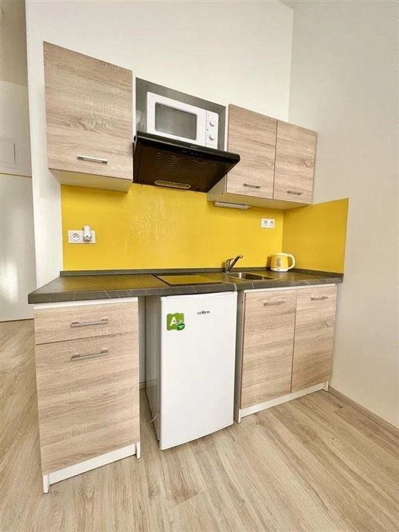 Bytová jednotka v ulici Václavská - 4