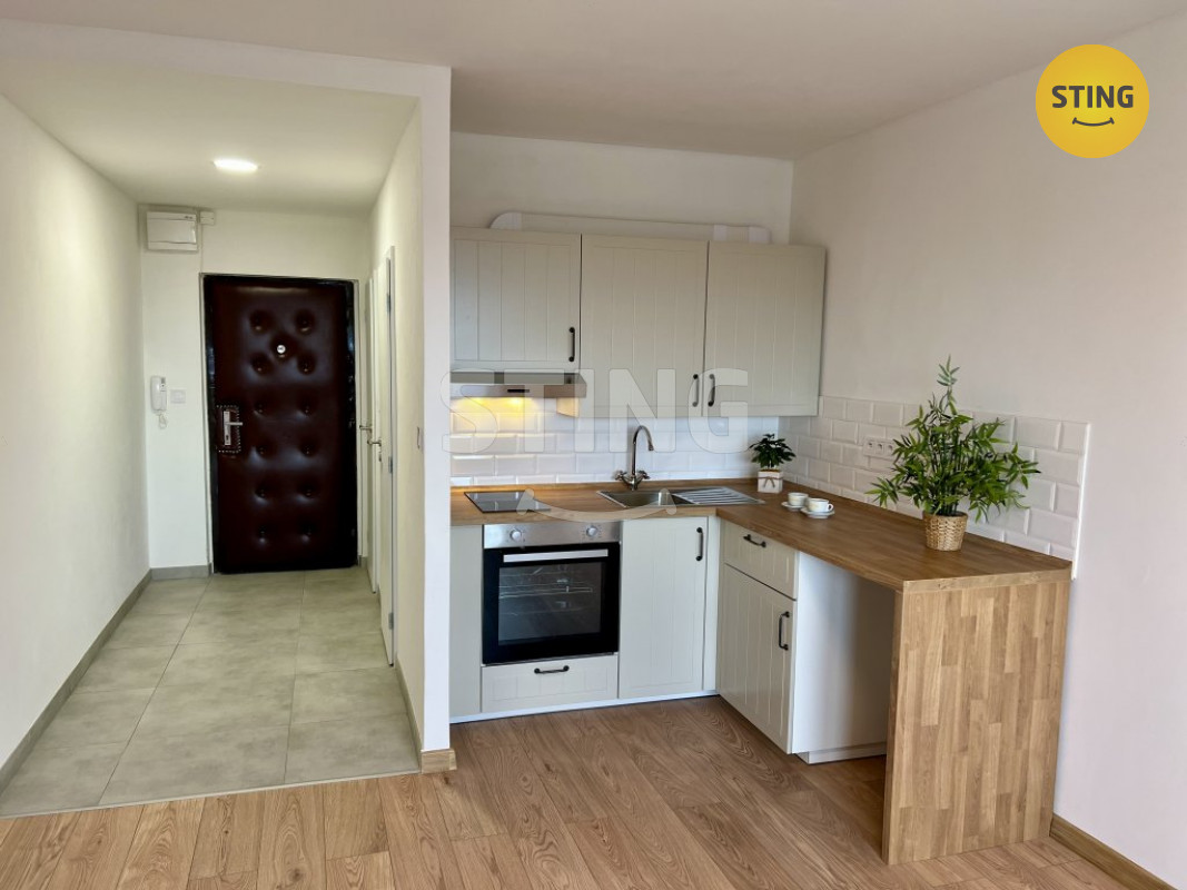 Pronájem zrekonstruovaného bytu 1+kk, ul. Francouzsk, 134087 - 4