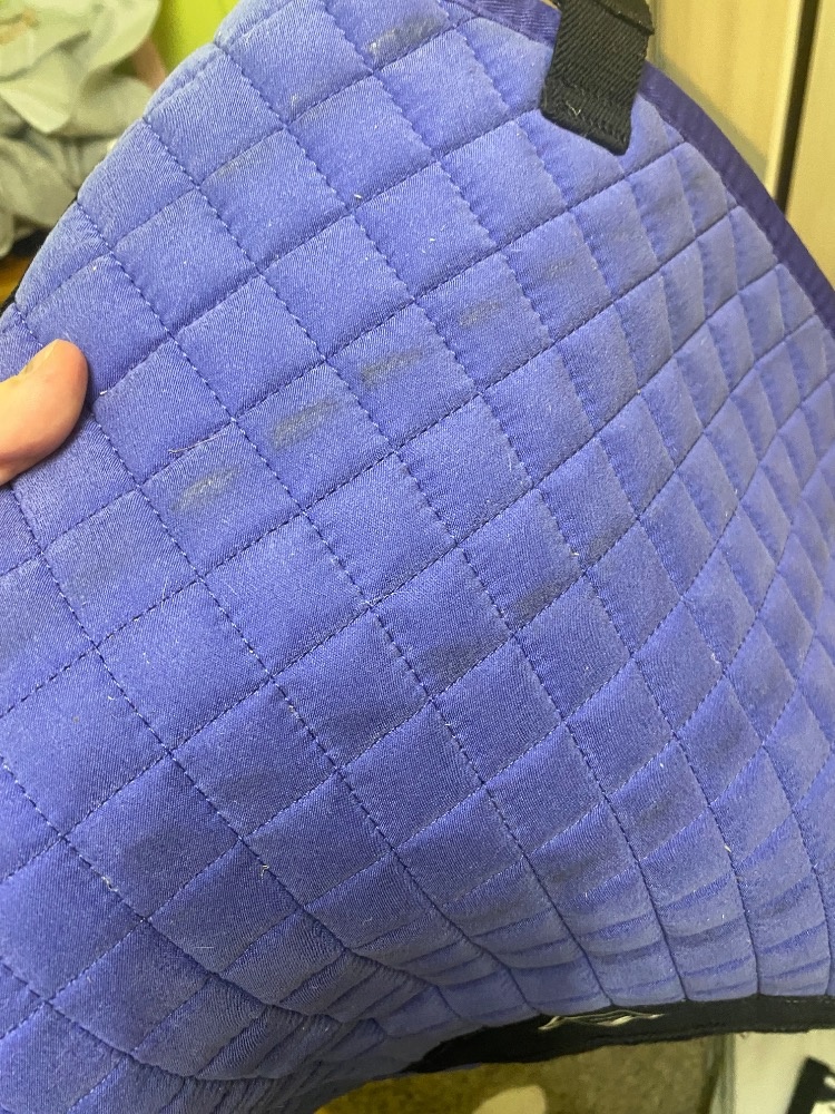 Deky, Lemieux podsedlovka, martingal, kamaše - 4