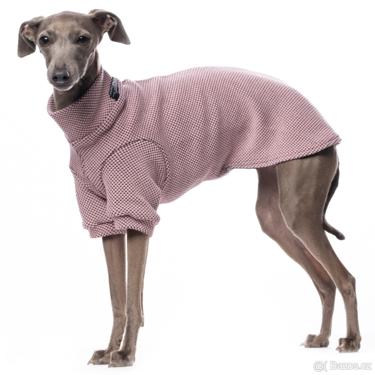 Italský chrtík s PP - 4