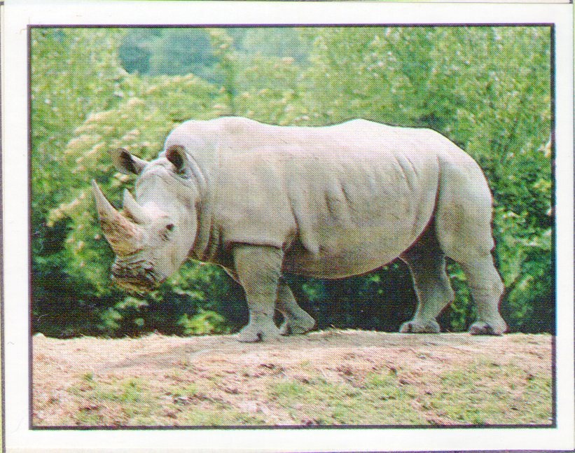 Encyklopedie ohrožených zvířat WWF Lutra Panini (1991) - 4