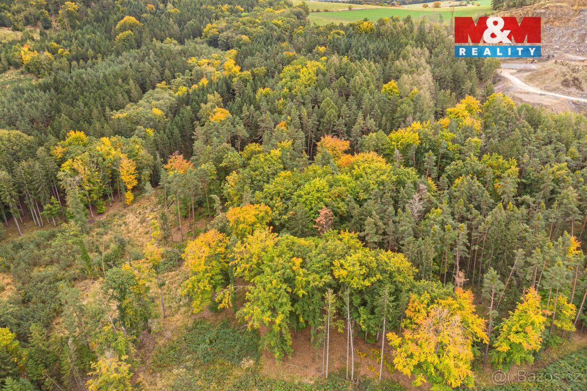 Prodej lesa, 39171 m², Ježovy - 4