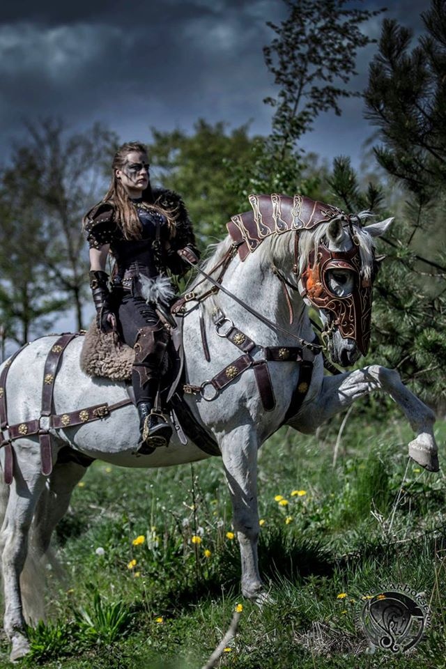 Koupím mladého koně - 4