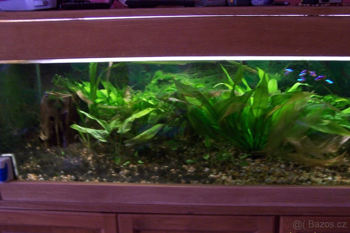 Akvarijní stěna - 4