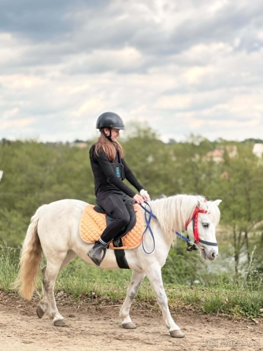 Bílá kobylka pony - 4