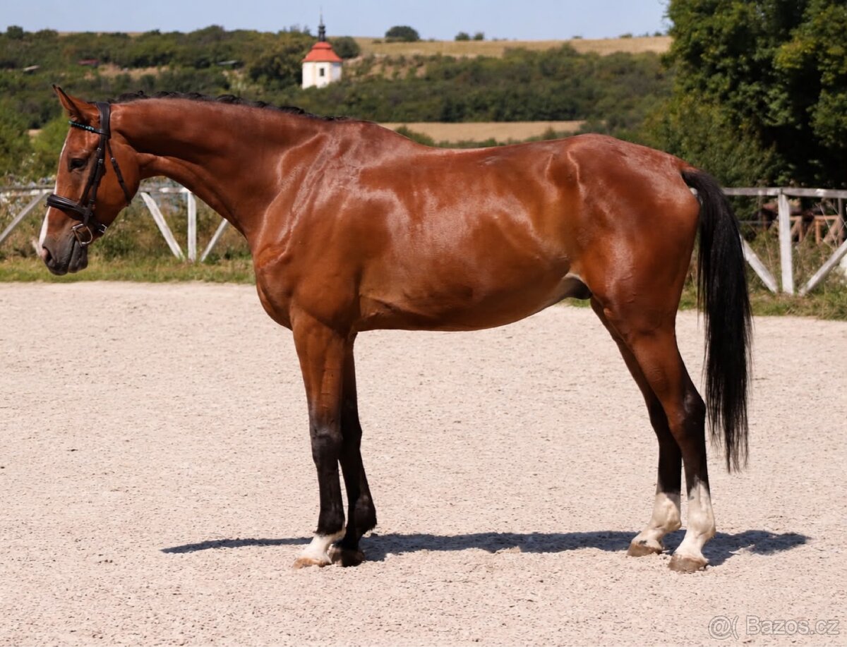 valach - 4