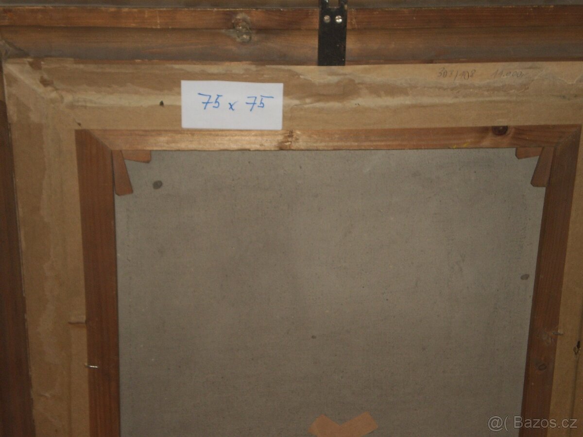 obraz - olej - kaktus - v rámu - -75 x 75 cm - 4