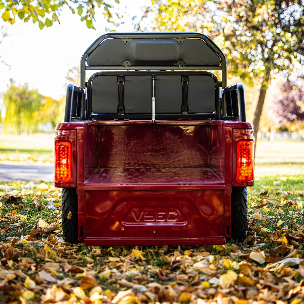 Elektrická tříkolka NOVÁ nikdy nepoužitá 1000 W záruka - 4