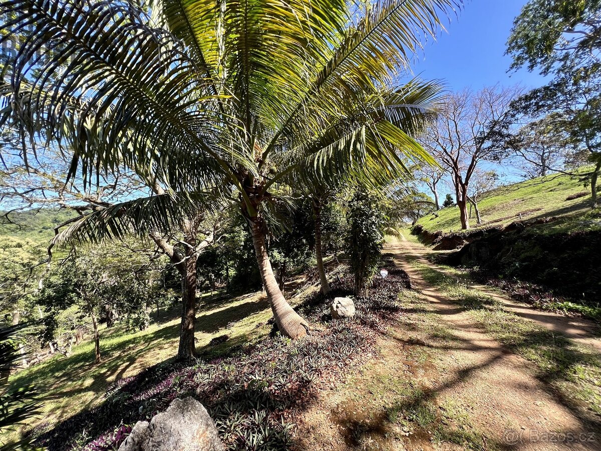LOT 10 Bodden Bight Estate, Roatan - 4