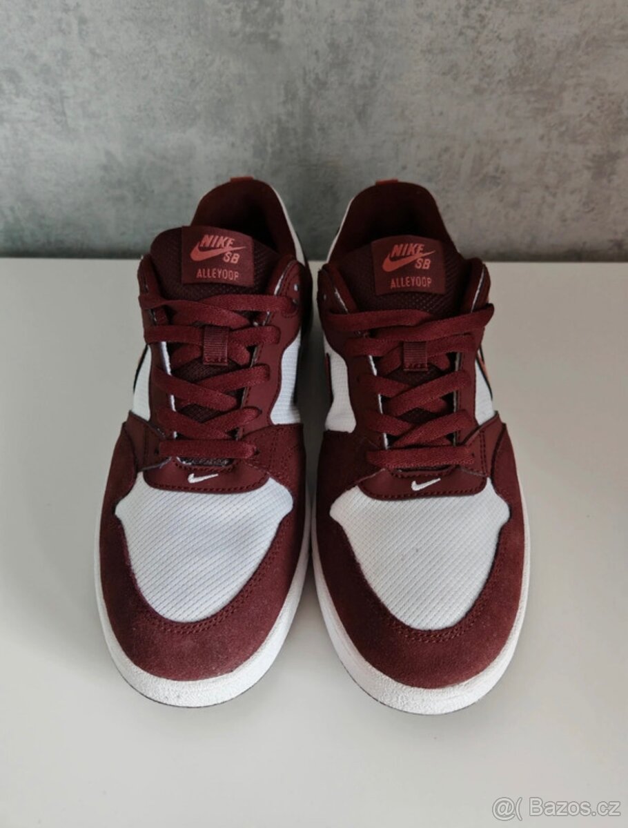 Nike SB Alleyoop 41 - 4