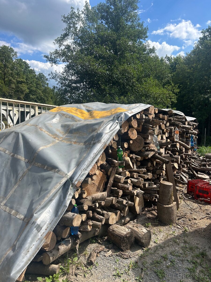 Palivové dřevo - 4
