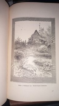 Květy 1885-1889 - 4