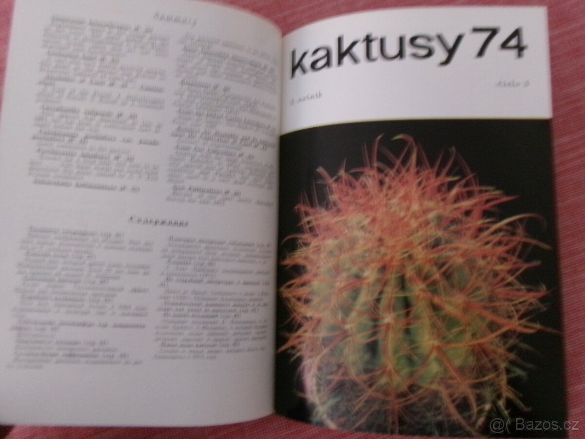 Kaktusy 1965 - 1985 - vázané časopisy. - 4