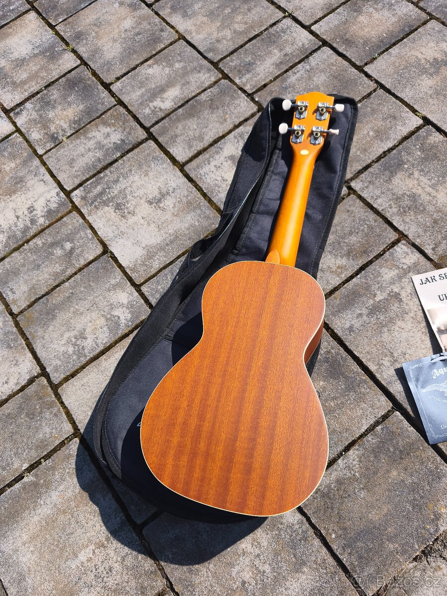 Ukulele - 4
