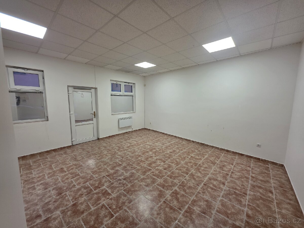 Pronajmu komerční prostor - 4