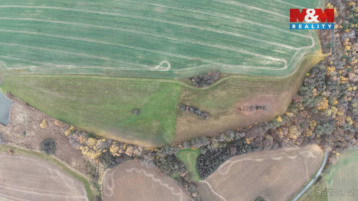 Prodej louky, 3101 m², Skuteč - 4