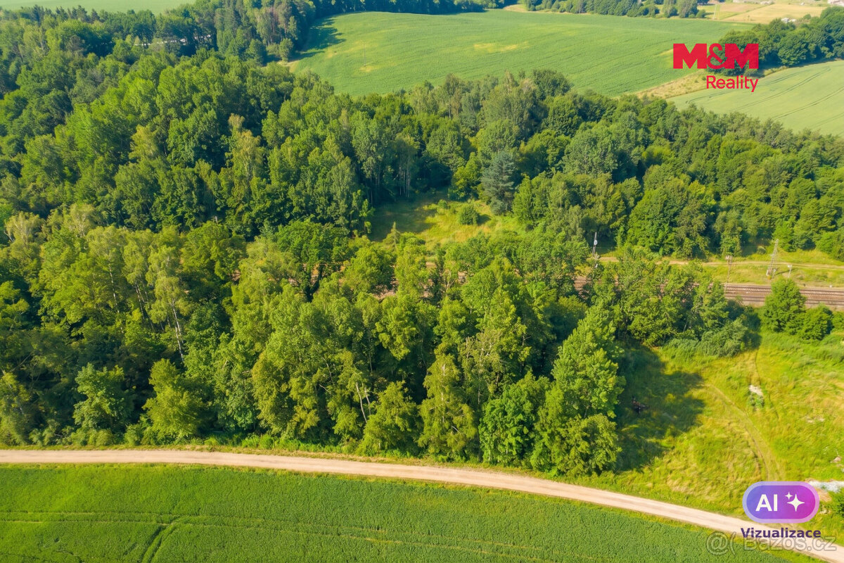 Prodej louky, 4637 m², Rudoltice - 4