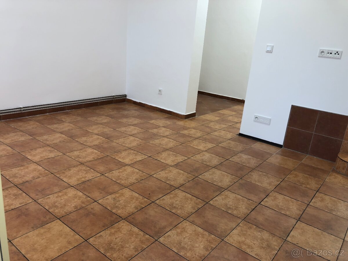 Pronajem bytu 2+1 se šatnou, 65 m2, Doubravice nad Svitavou - 4