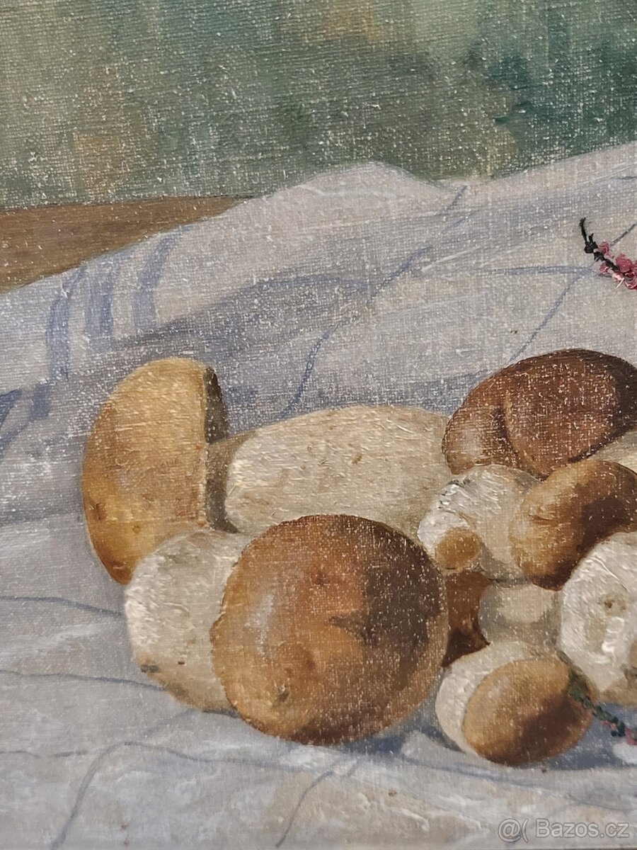 obraz olej na plátně B.Franke - houby - 4