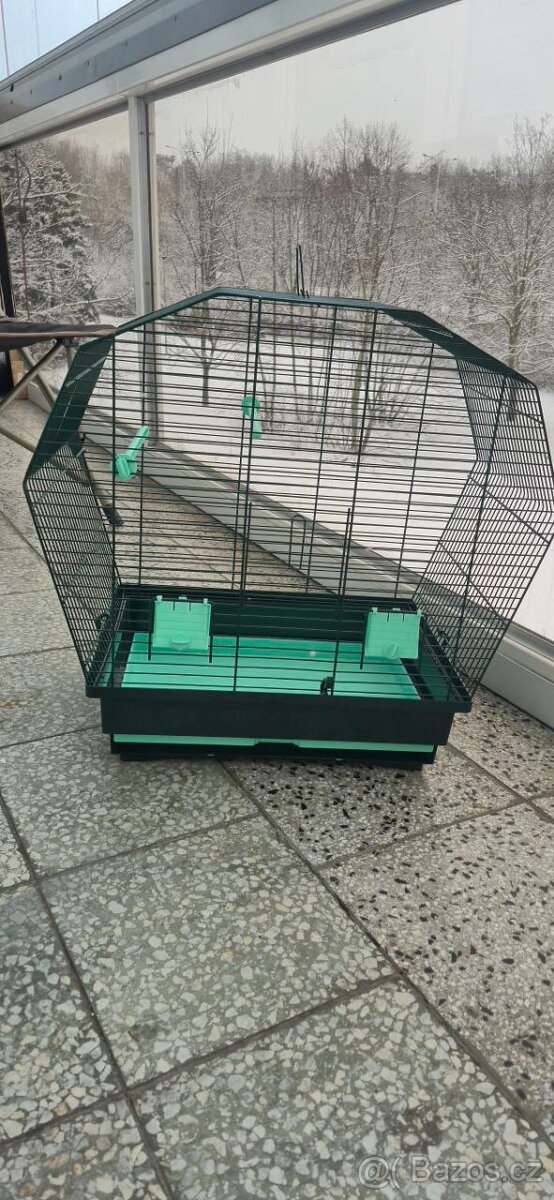 Alexandr malý/pětiměsíční papoušek - 4