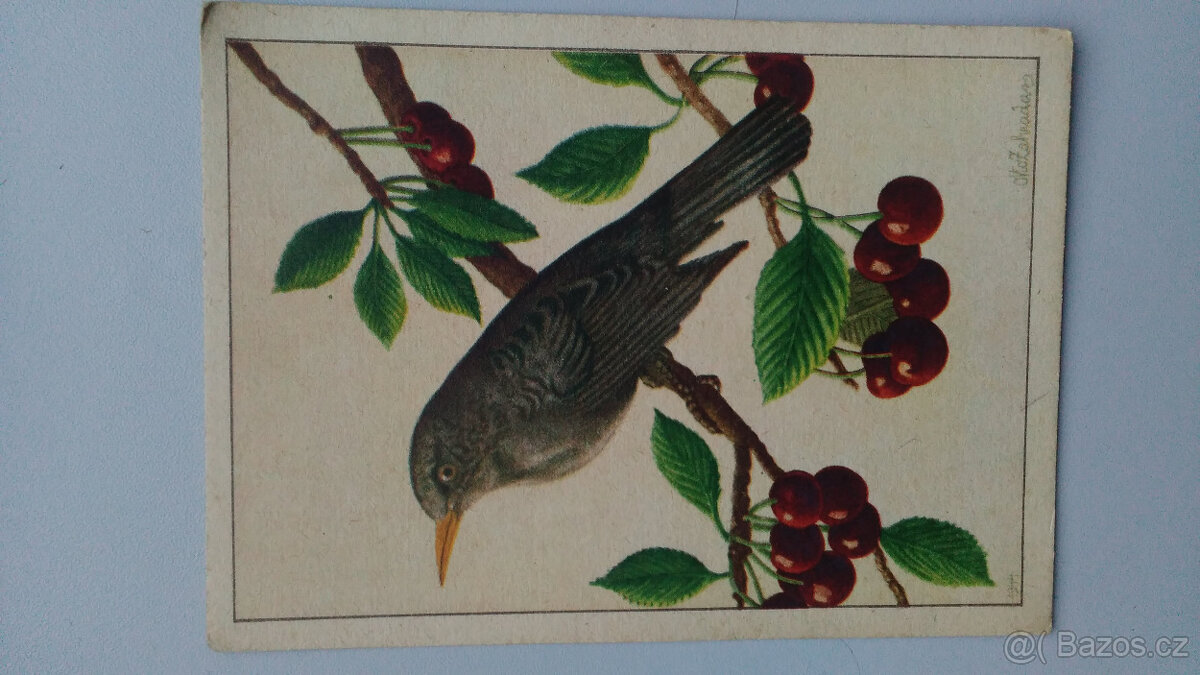 Staré pohlednice, Otto Zahrada, 3 ks - 4