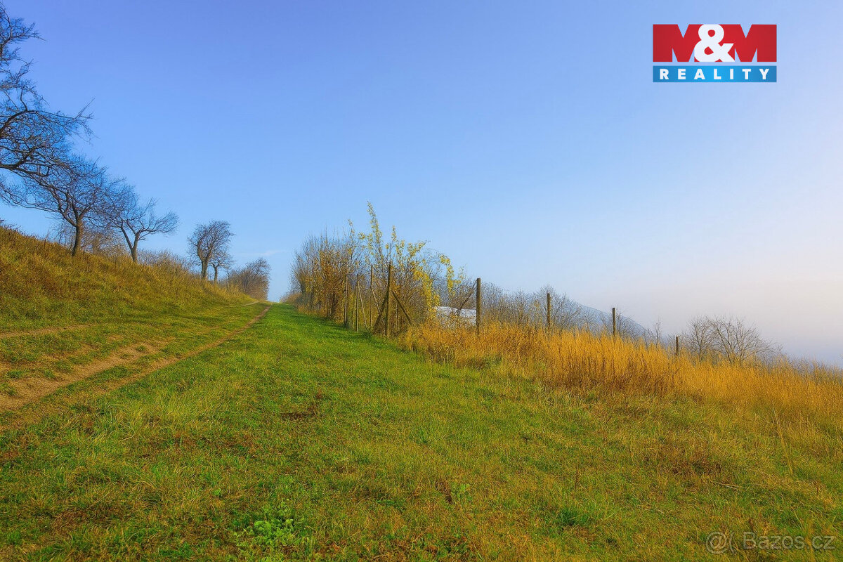 Prodej vinice, 1791 m², Bukovany - 4