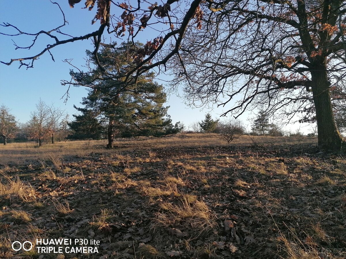 Vyjížďka na koni v Národním parku Podyjí - 4