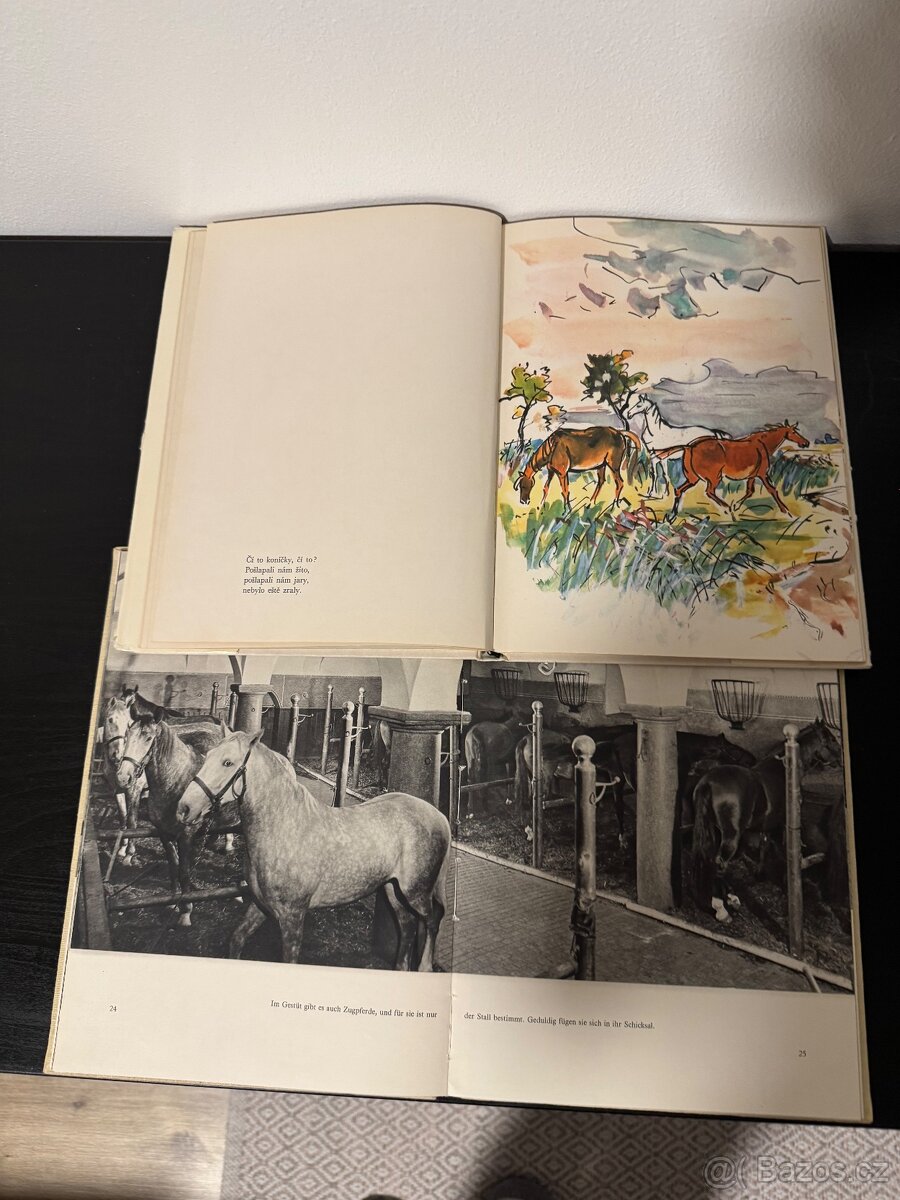 Knihy koně - 4