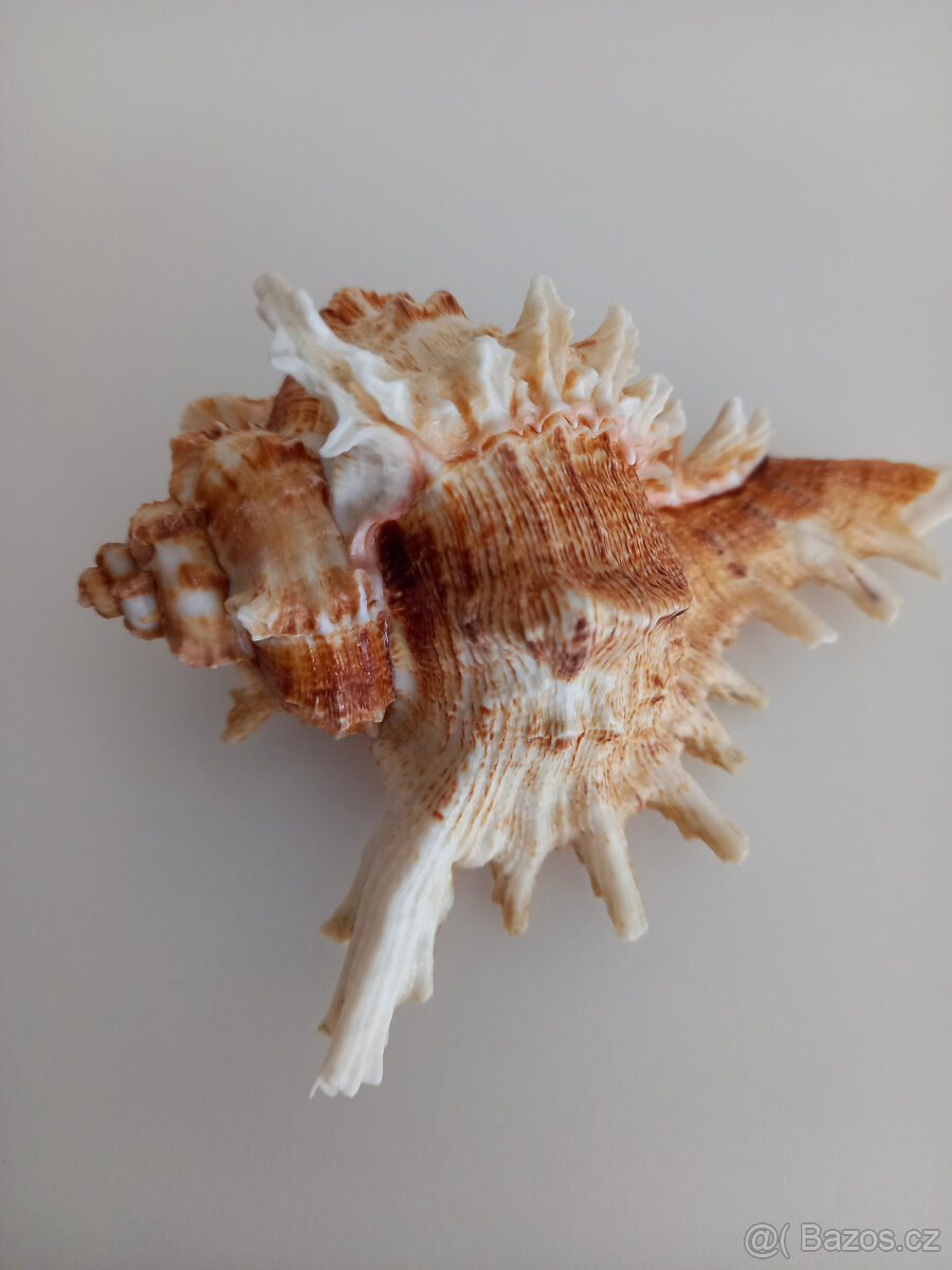 3 lastury + 2 písečné dolary - 4