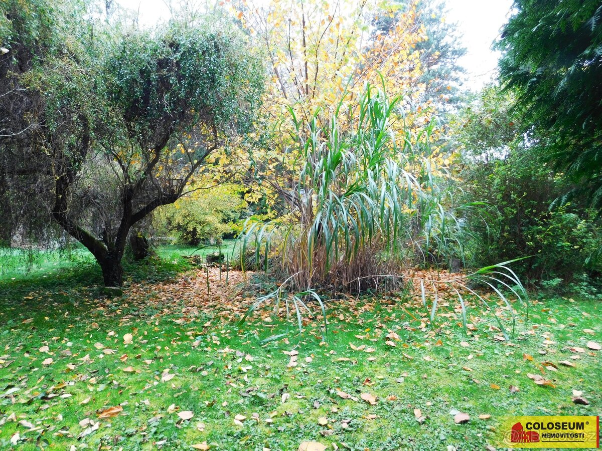 Dyje, zahrada, jezírko, 387 m² – pozemek, ev.č. V3288Z037 - 4