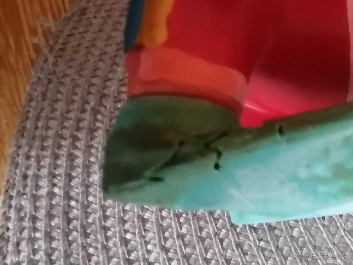 Daruji hračku pro psy - 4