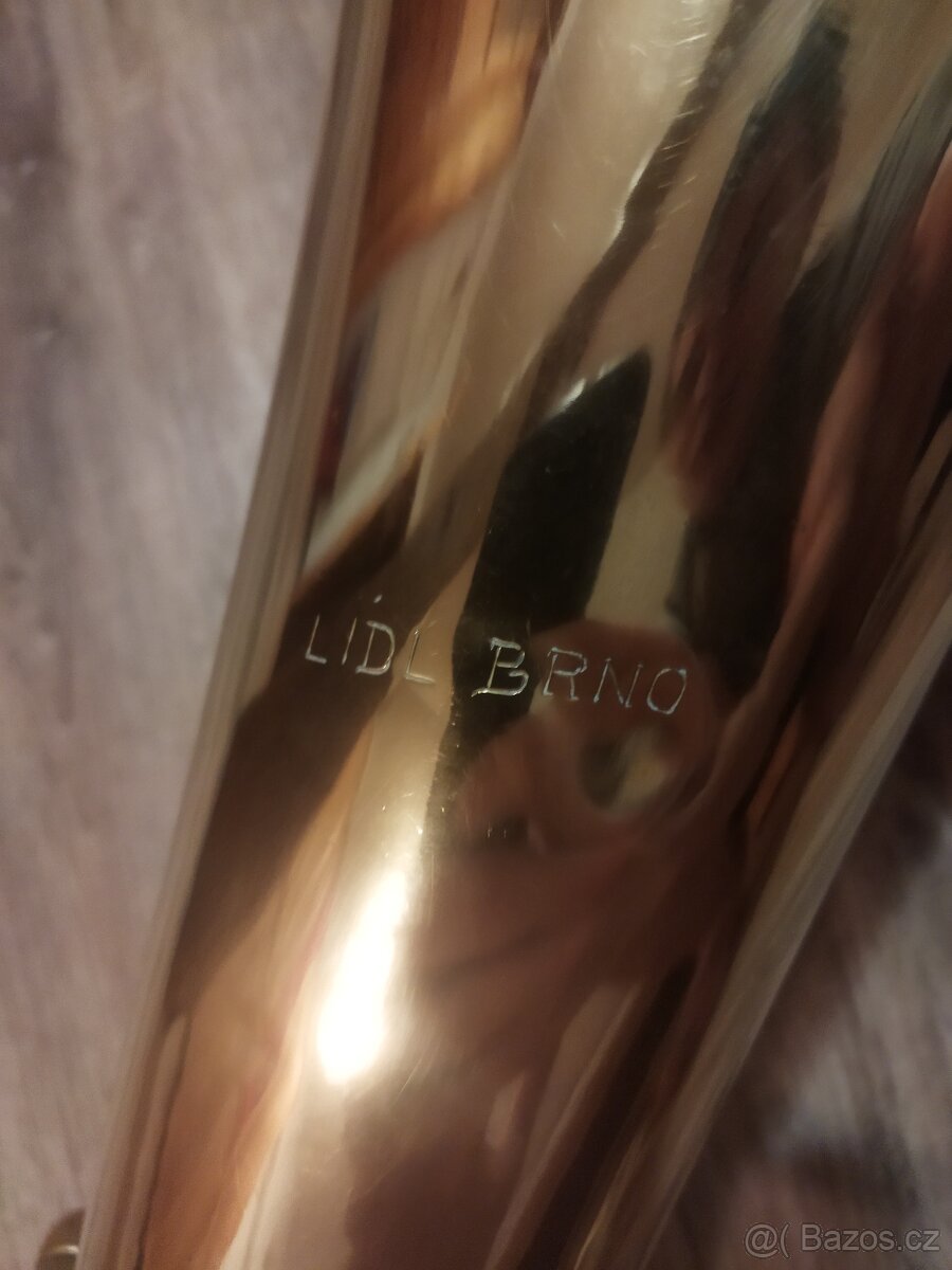 Baskřídlovka - tenor - 4