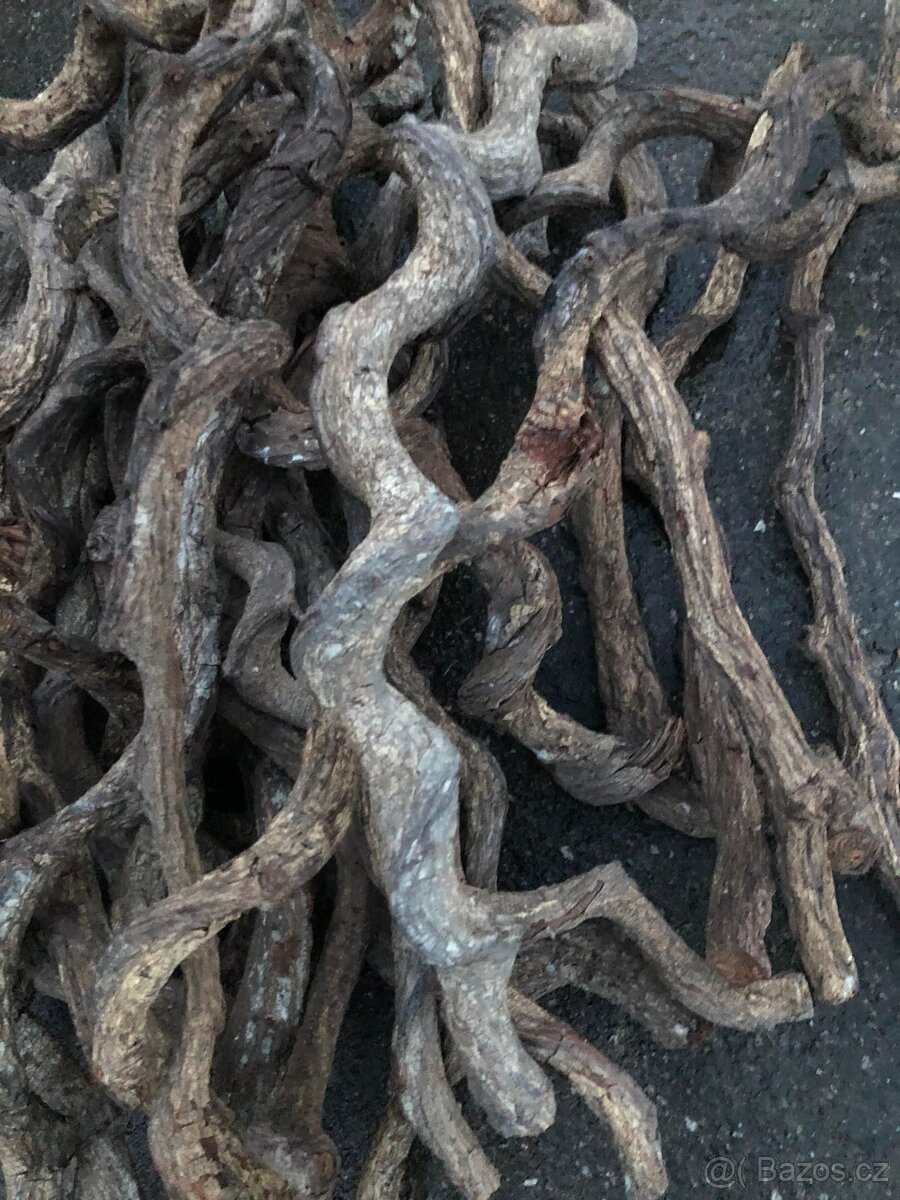 Přírodní liány - 4