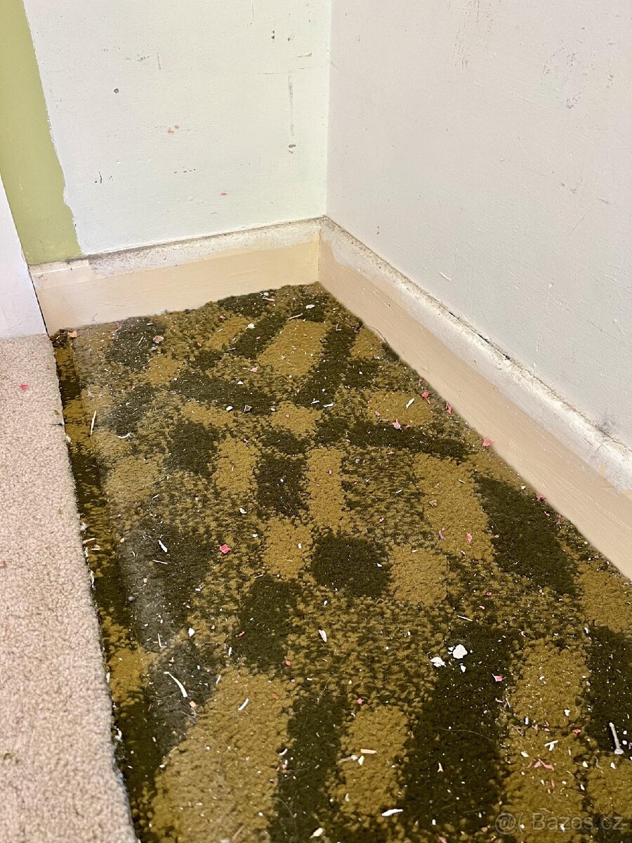 Prodám mé dědictví (viz obrázky )cena dohodou - 4