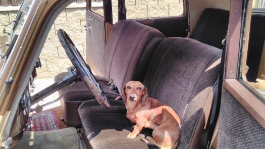 Mercedes 170 sd Diesel r.v-1952 - 4