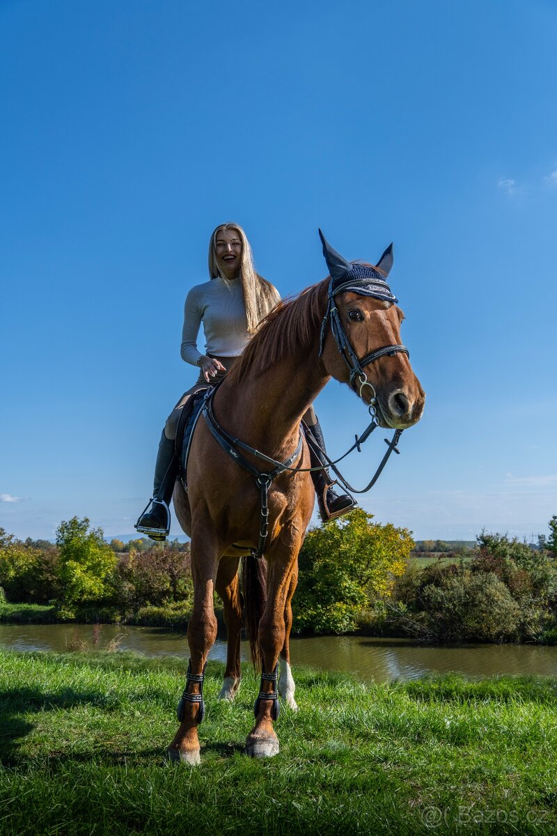 Mladá kobylka s polovičným pôvodom - 4